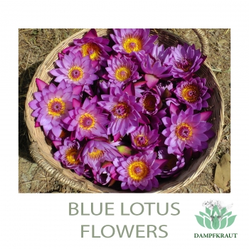 Blauer Lotus 10X Harz-Konzentrat 5 Gramm